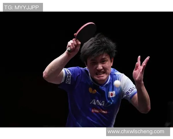 张本智和与樊振东激战乒乓球赛场谁能笑到最后的精彩对决分析